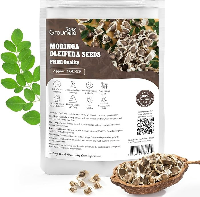 Moringa Seeds for Planting, 2 Ounce 140+ Seeds, 100% Natural Semillas de Moringa, Non- GMO | Prem... | Amazon (US)