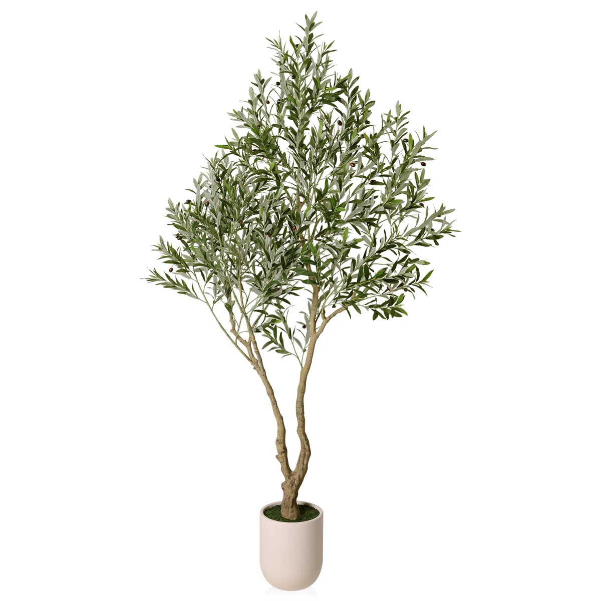 Ashwell Artificial Olive Tree with White Pot | Wayfair North America