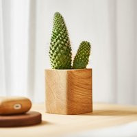 Handmade Wooden Succulent Planter Small Cubic Plant Pot | Etsy (US)