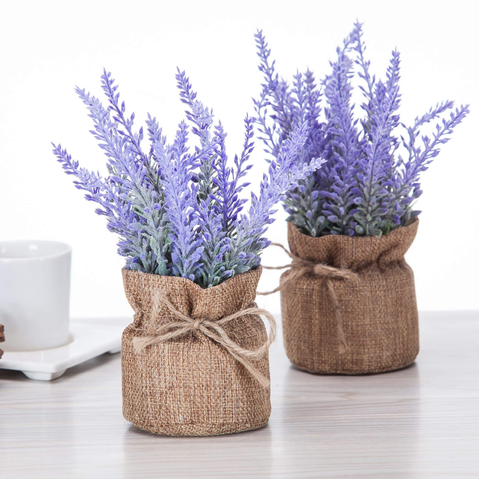 Artificial Mini Potted Flowers Plant Lavender for Home Decor Party Wedding Garden Office Patio De... | Amazon (US)