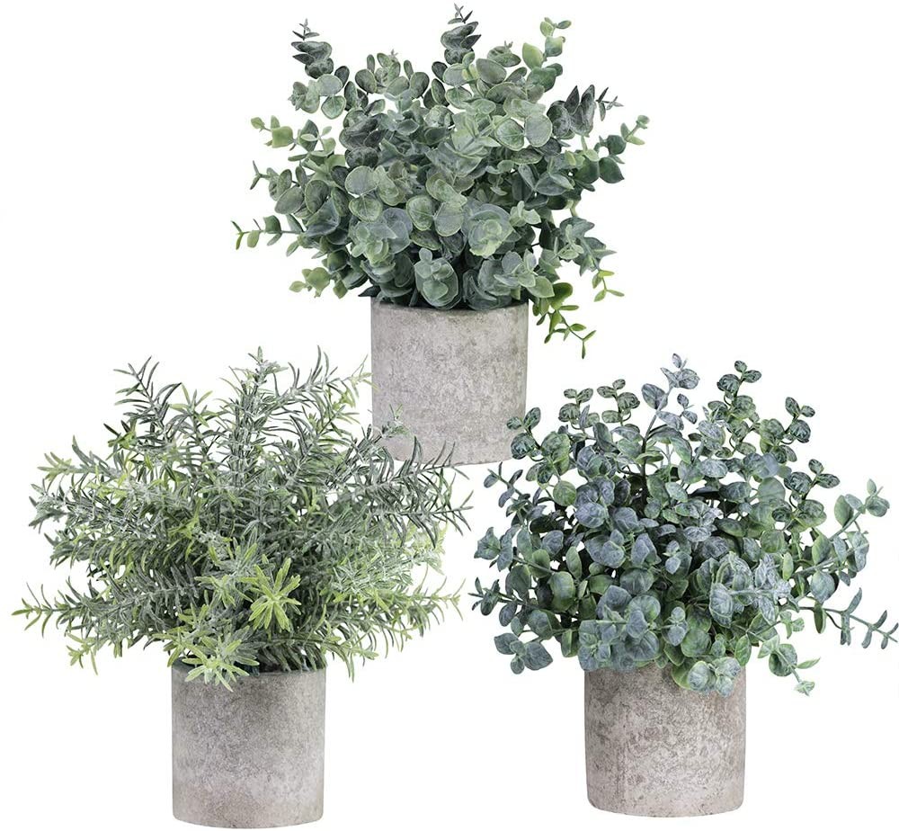 Winlyn Set of 3 Mini Potted Artificial Eucalyptus Plants Plastic Fake Green Rosemary Plant for Ho... | Amazon (US)