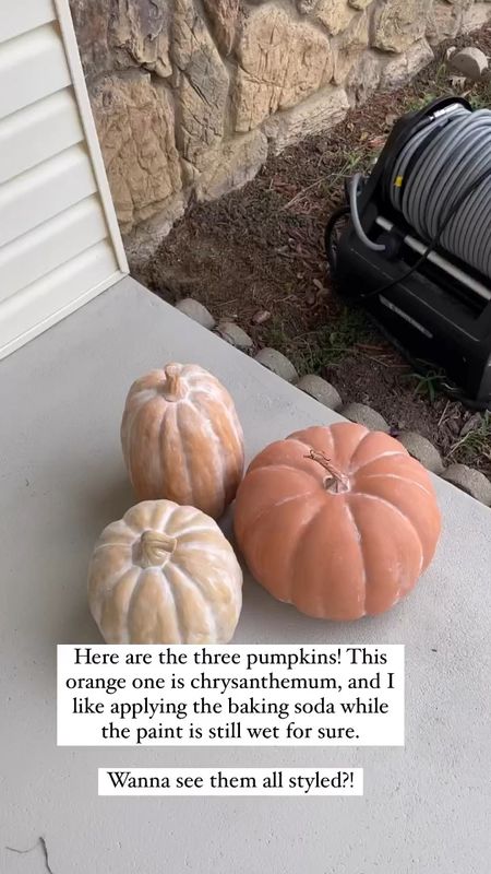 I bought these pumpkins from target and primed, painted, and sprinkled baking soda on them for a terracotta effect. I used latex paint samples from Sherwin Williams in "Totally Tan” and “Chrysanthemum.”

#LTKHoliday #LTKHalloween #LTKSeasonal