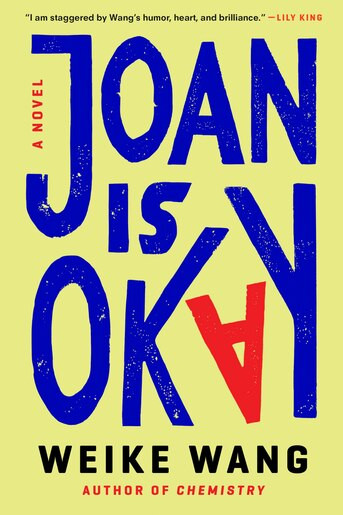 Joan Is Okay: A Novel | Indigo (CA)