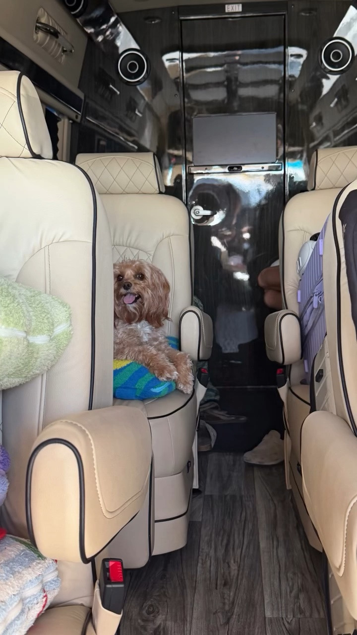 Road Dawg!!!