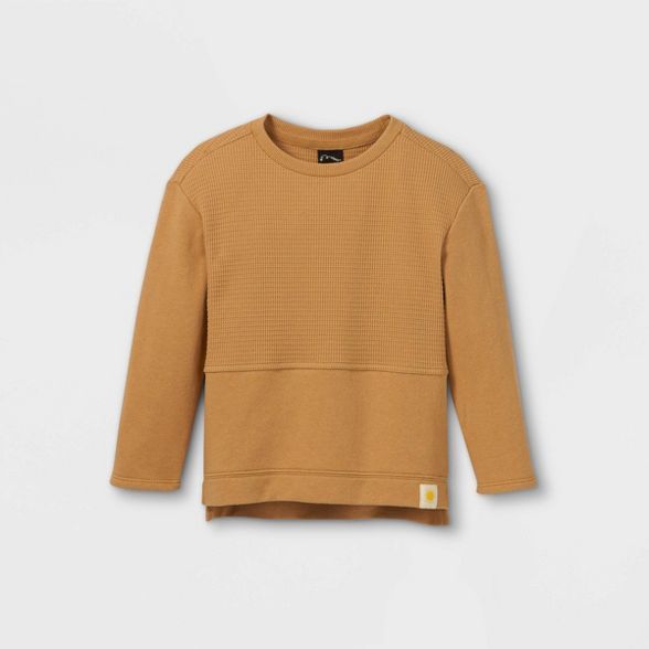 Toddler Boys' Pullover Sweatshirt - art class™ | Target
