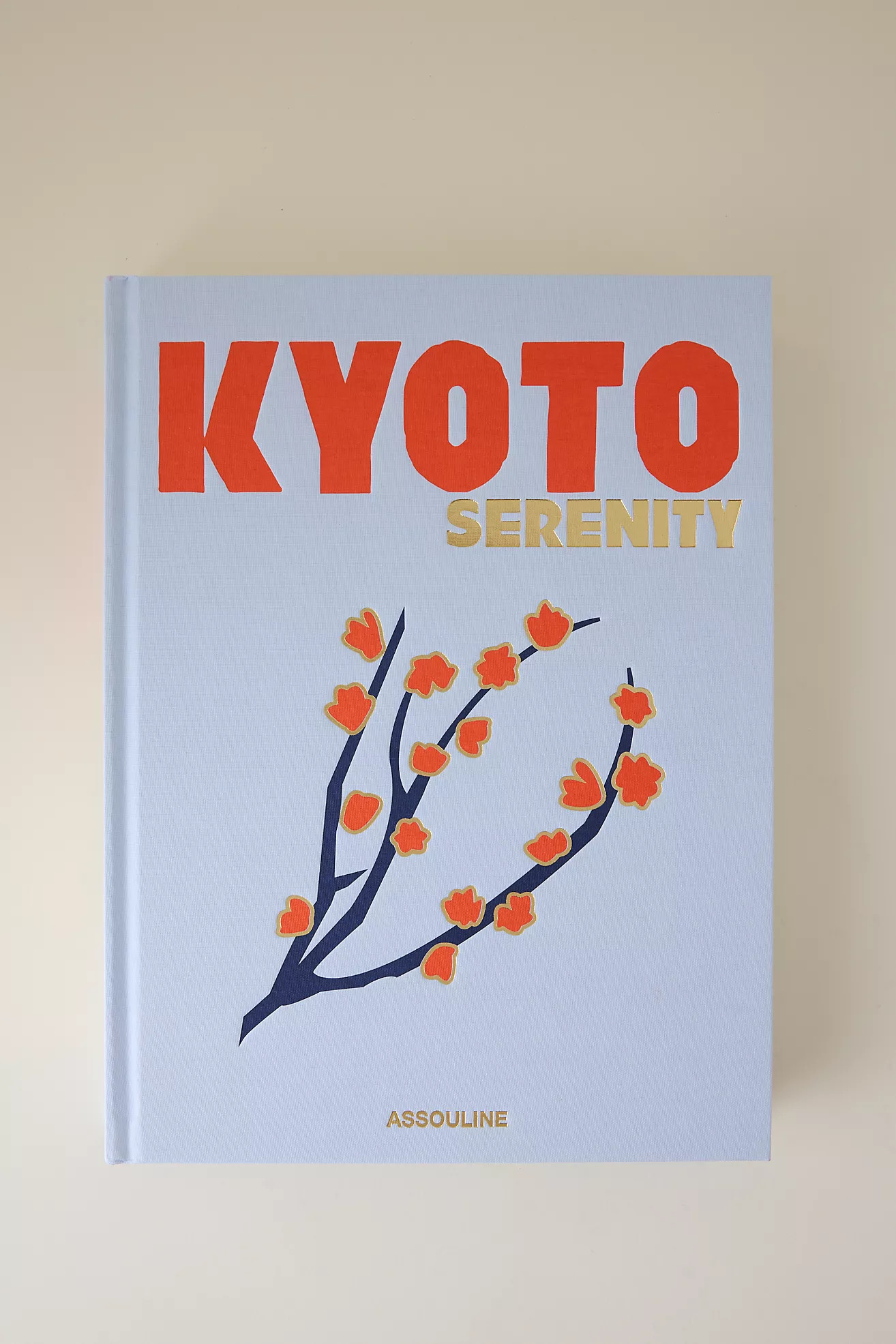 Assouline Summer Travel Books | Anthropologie (UK)