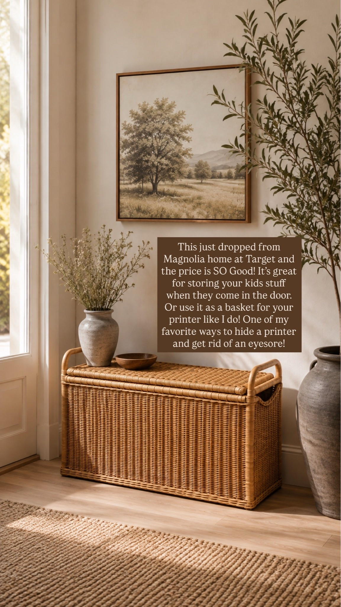 This Magnolia Home rattan storage basket just dropped at Target and the price is sooo good! It’s great for storing your kids’ stuff when they come in the door.

#LTKHome #LTKKids