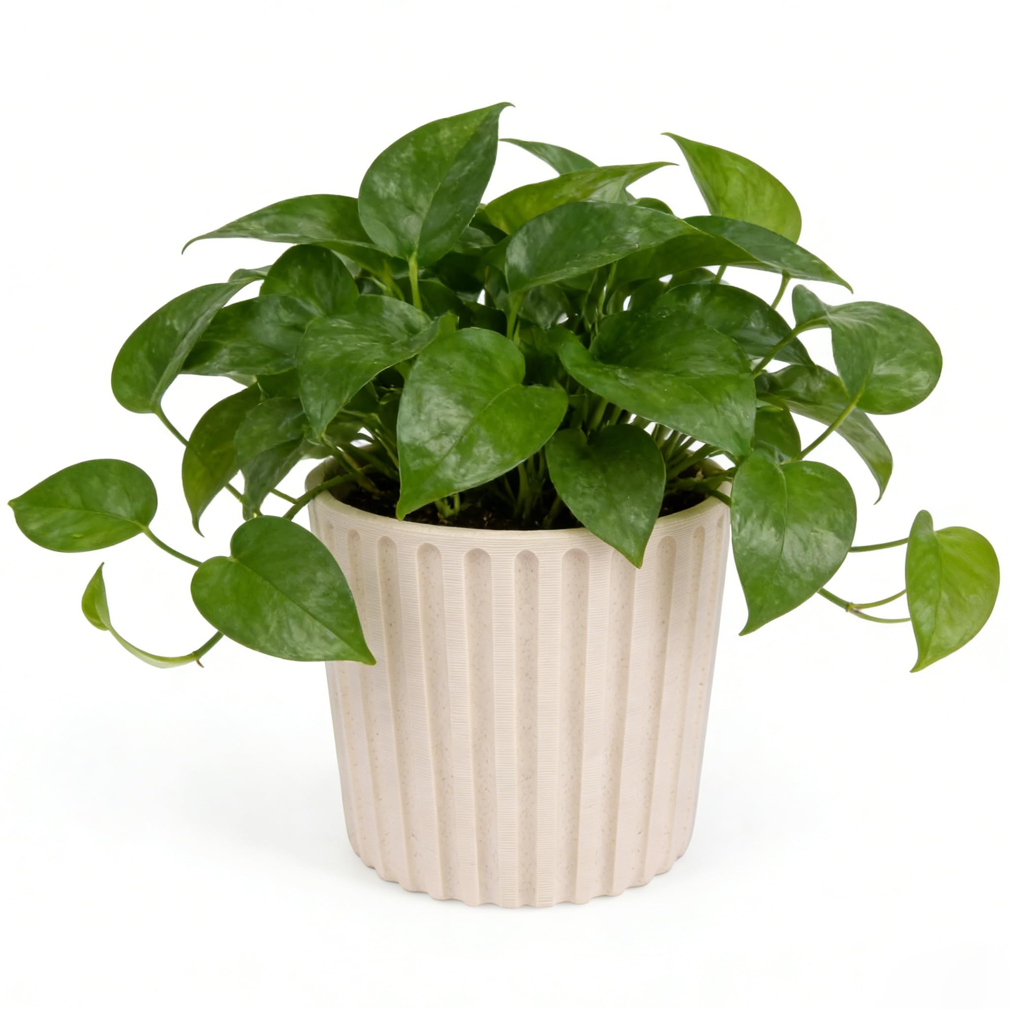 Ekirlin 7 Inch Indoor Plant Pot, Natural Resin Modern Planters, Graceful Curves Textures Garden P... | Amazon (US)