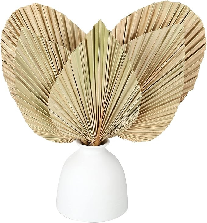 5 Pieces Natural Dried Palm Leaves Real Palm Leaves Decor Boho Palm Fans Tropical Palm Flowers Dr... | Amazon (US)