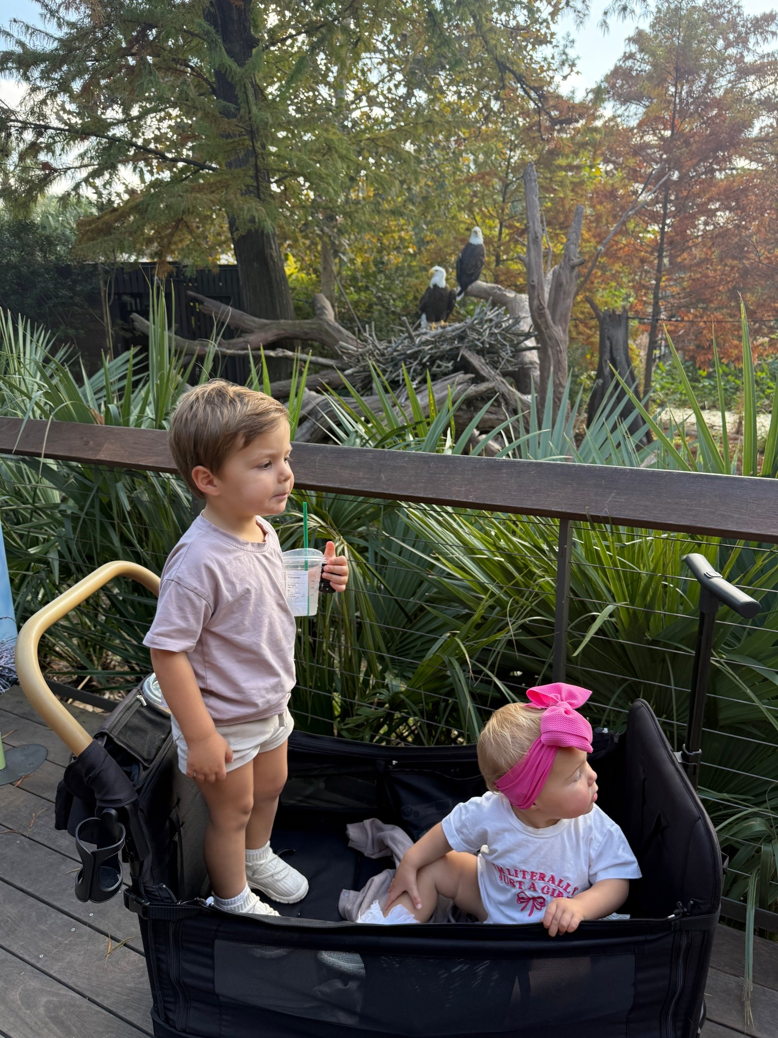 Just chilling with the eagles! 🦅 

#LTKmomlife #LTKKids #LTKdayinmylife