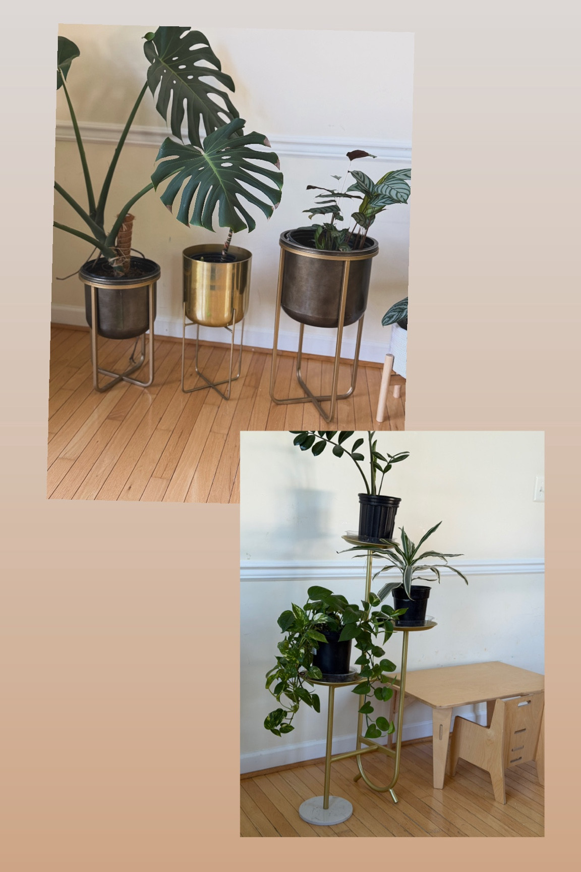 Indoor plant planter and planter stand 

#LTKHome