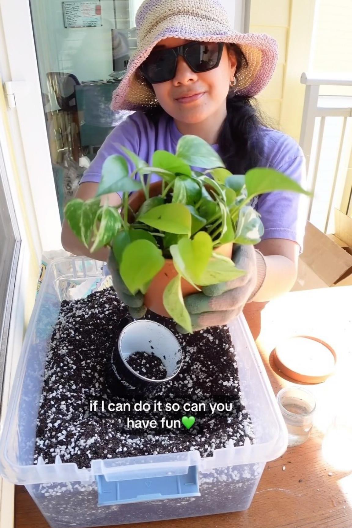 Anyone else putting off repotting their houseplants?🫣this was SO easy idk why I put this off for so long🪴

I mixed 80%ish @foxfarmsoilandfertilizer ocean forest soil + 20%ish perlite @duspro_official (Everything’s 🔗d on my LTK) 

🌱I filmed this a few weeks ago & my houseplants are thriving ALL of them have new growth📈

👩🏽‍🌾I’ve been using this soil mix for my veggie garden too & my seedlings are saaaur happy🌱

This is your sign to give some love to your plants💚the least we can do is keep them alive & thriving🪴

❓How often do u repot your houseplants?🪴

#planttherapy #plantparent #houseplantlove #soilhealth #plantmom #houseplants #plantsmakemehappy #houseplantcare #planthealing #plantcare #planttips #soilmix #pottingsoil

#LTKFindsUnder50 #LTKHome #LTKSeasonal