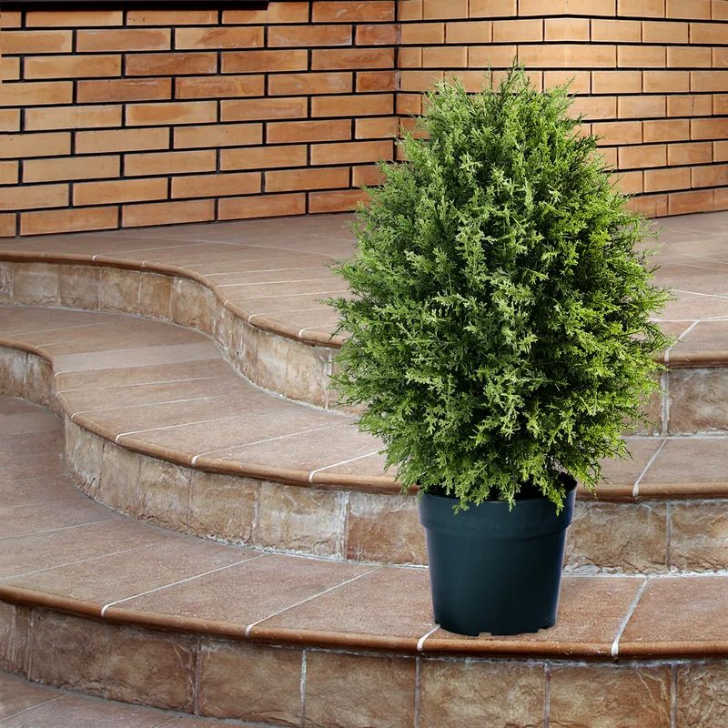 26'' Faux Cypress Plant in Pot | Wayfair North America