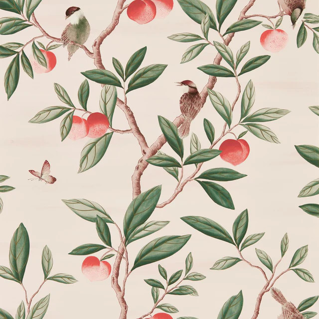 Harlequin Ella Powder/ Sage / Peach Wallpaper | DecoratorsBest
