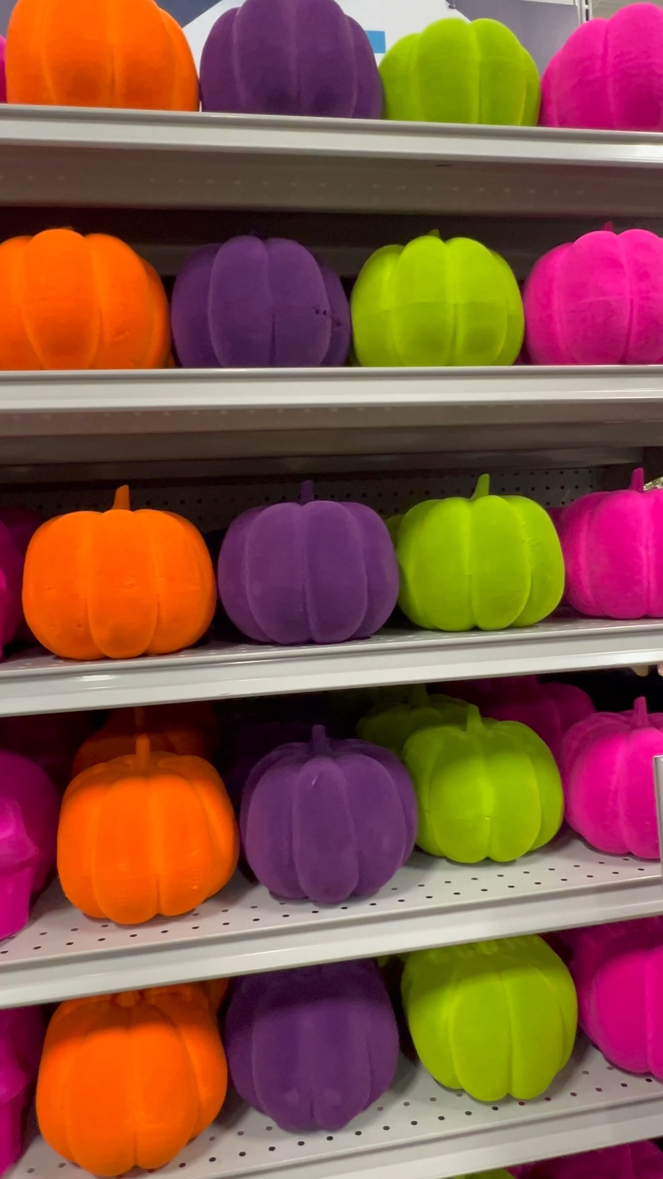 Fun Flocked Skulls and Pumpkins for Halloween.  These are only $5!!
•
#skulls #pumpkins #halloweendecor #halloweenideas #funhalloween #brightcoloredpumpkins #pinkpumpkins #pinkskulls #girlyhalloween #halloween

#LTKFindsUnder50 #LTKSeasonal #LTKHome