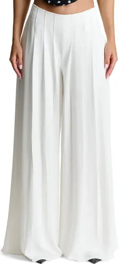 Pleated Wide Leg Pants | Nordstrom
