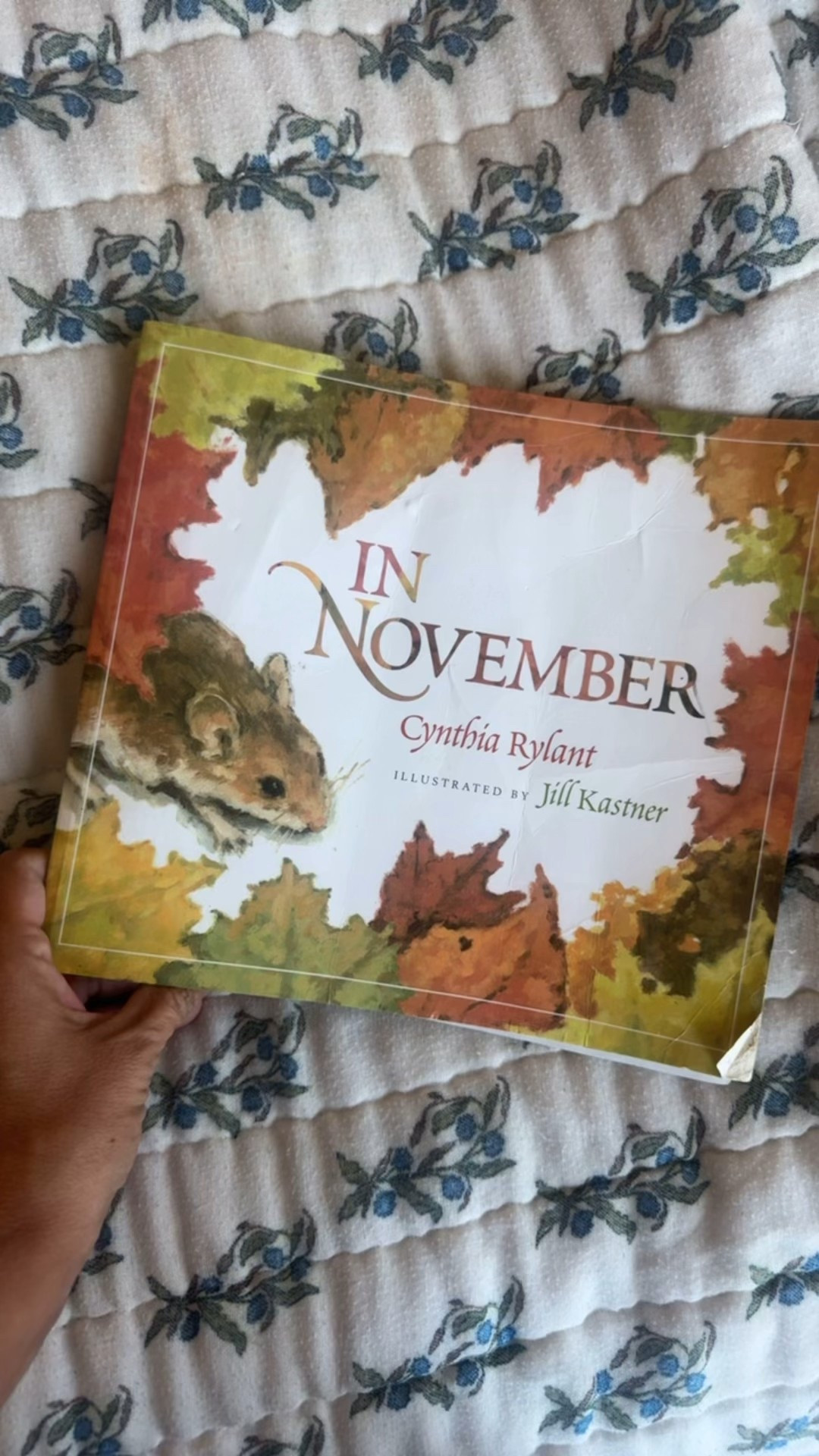 A must have book for your children’s library. Every November we read it together and every year it makes me tear up. 

#LTKKids #LTKFamily #LTKBaby