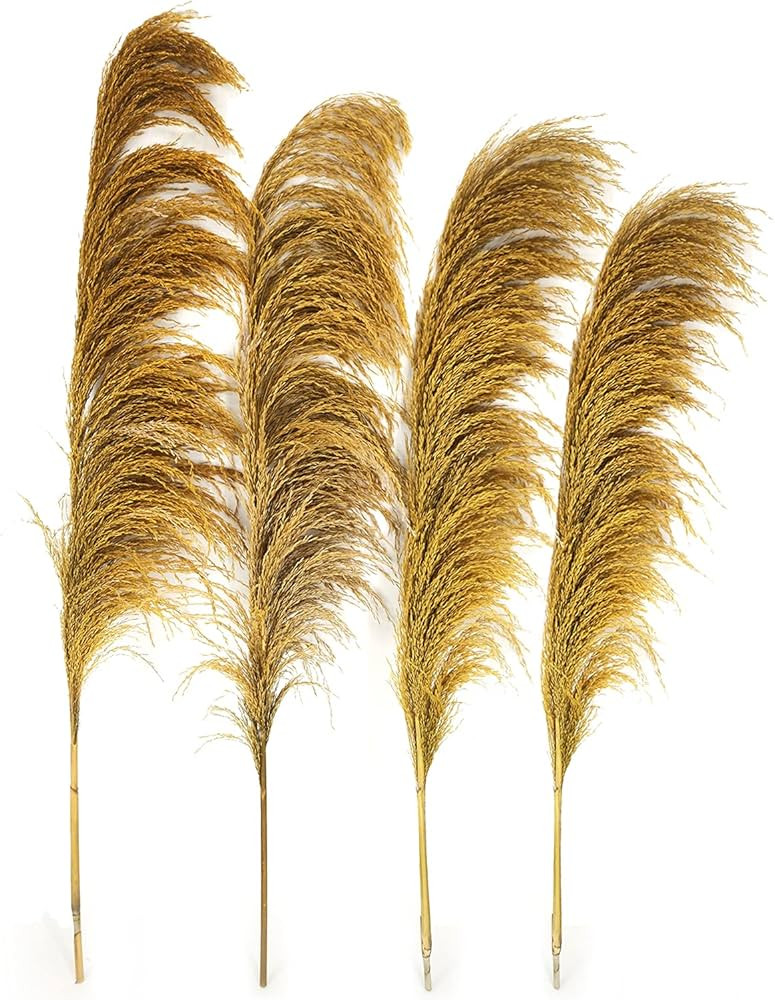 Gold Yellow Pampas Grass, Farmhouse Flowers Decor, Gold Flowers Tall,8Pcs 31.5" Rustic Dried Pamp... | Amazon (US)