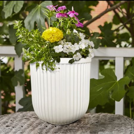 Sale: $24.60. 60% ‼️off of $61.50
Better Homes & Gardens 16"W x 16"L x 15.8"H Ellan White Resin Plant Pot Planter
Size : W: 16" and  H 15.8”
Walmart sold out but found this one at a different store and price if anyone is looking 

Happy gardening! 

#LTKOver40 #LTKHome #LTKFamily