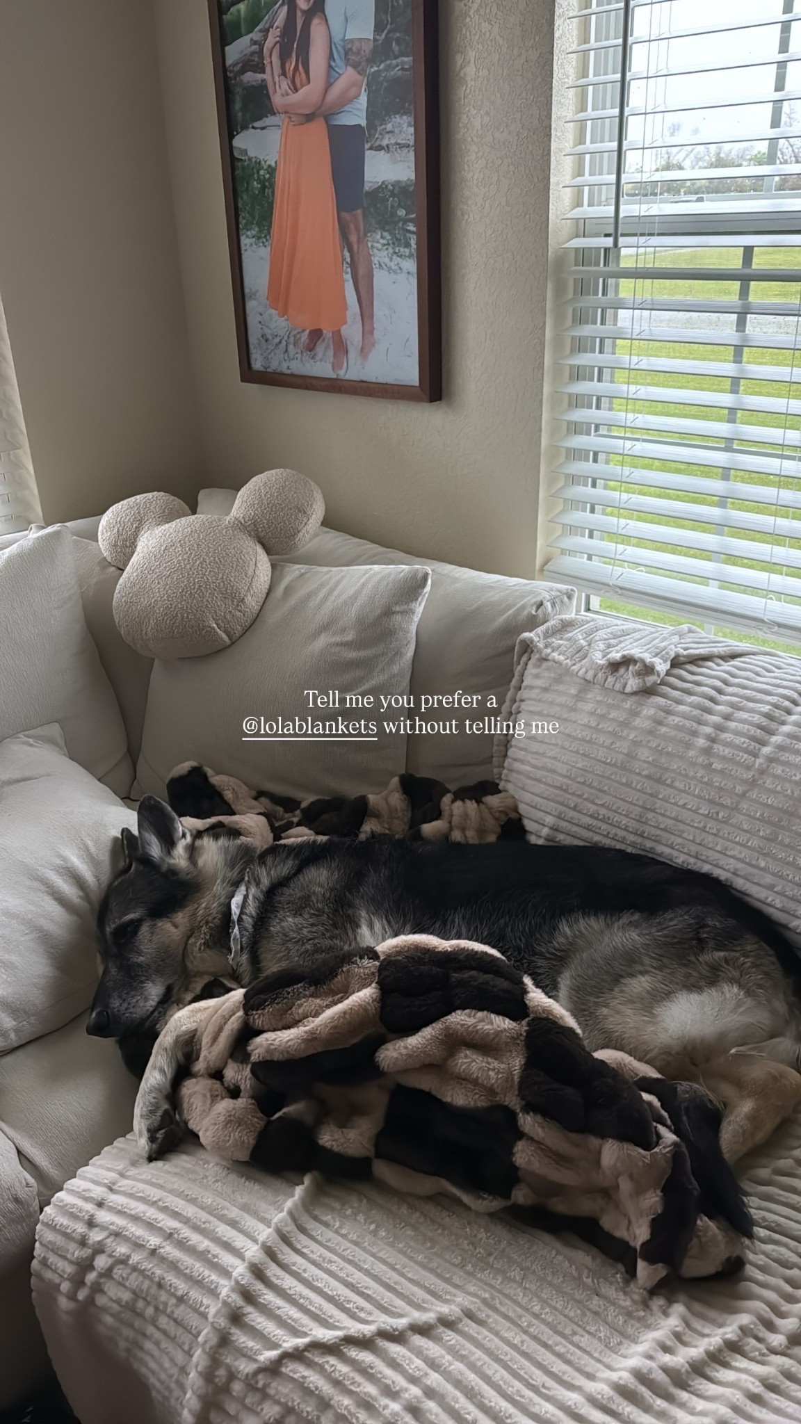 Lola blankets are a fave in our house! The pups love them too!!  🤎🐾

 

#LTKHome #LTKselfcare #LTKdayinmylife