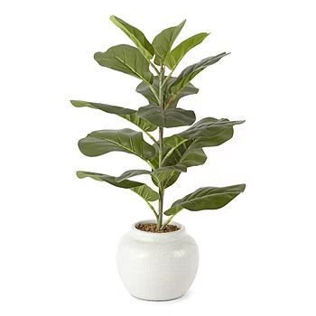 Linden Street Ceramic Fiddle Leaf Fig | JCPenney