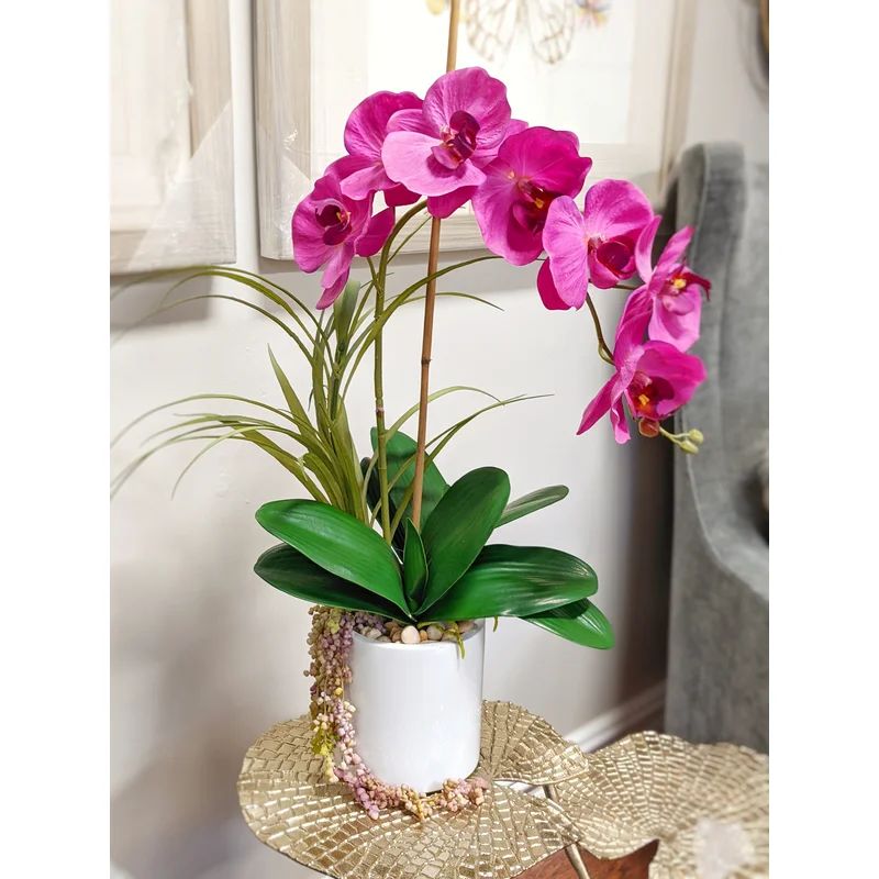 Phalaenopsis Orchid with Vine Floral Arrangement in Pot | Wayfair North America
