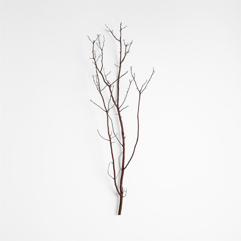 Manzanita Branch + Reviews | Crate & Barrel | Crate & Barrel