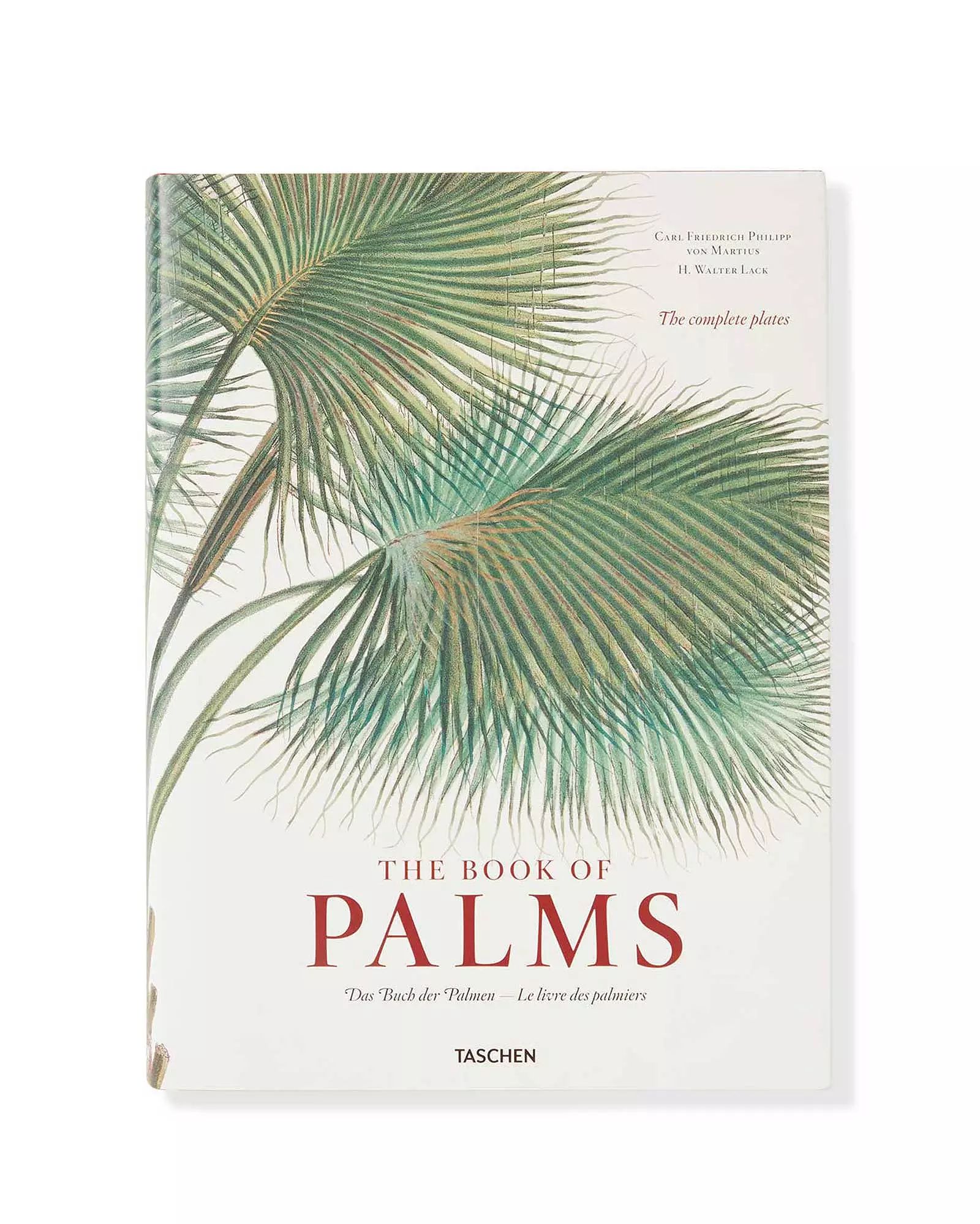 "The Book of Palms" by H. Walter Lack | Serena and Lily