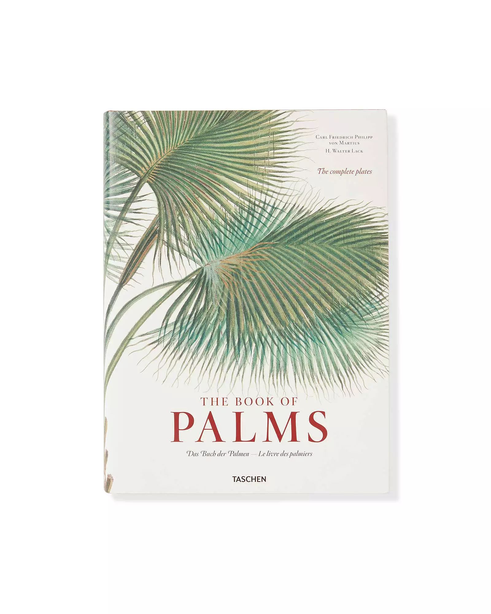 "The Book of Palms" by H. Walter Lack | Serena and Lily