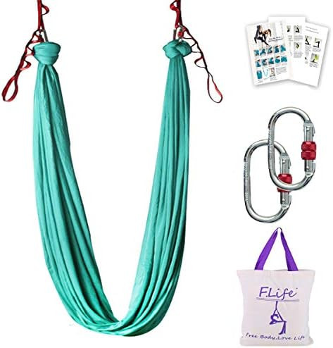 Aerial Yoga Hammock 5.5 yards Premium Aerial Silk Fabric Yoga Swing for Antigravity Yoga Inversio... | Amazon (US)