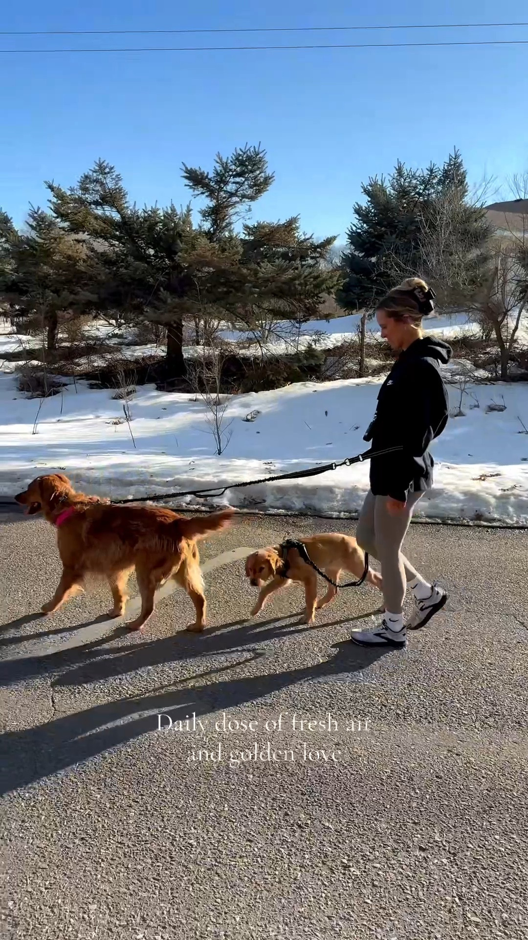 Movement is better with your 4 legged friends!💛🐾

Double belt dog leash is a game changer!

#LTKActive #LTKmomlife #LTKfitnessgoals