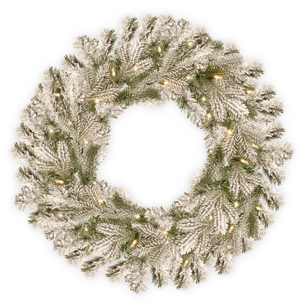 Snowy Sheffield Lighted Wreath | Wayfair North America