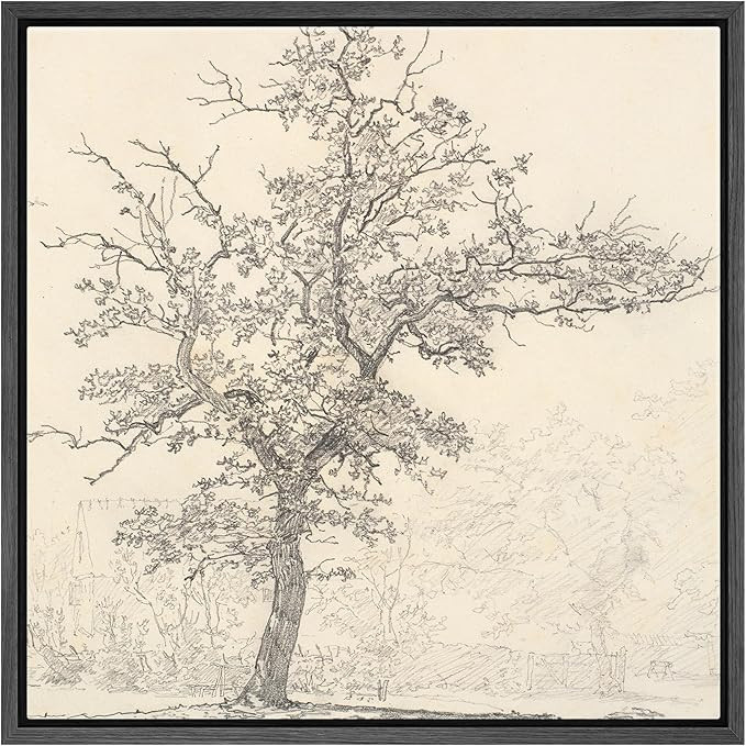 SIGNFORD Framed Canvas Print Wall Art Vintage Antique Pencil Sketch Tree Branches Drawing in Mono... | Amazon (US)