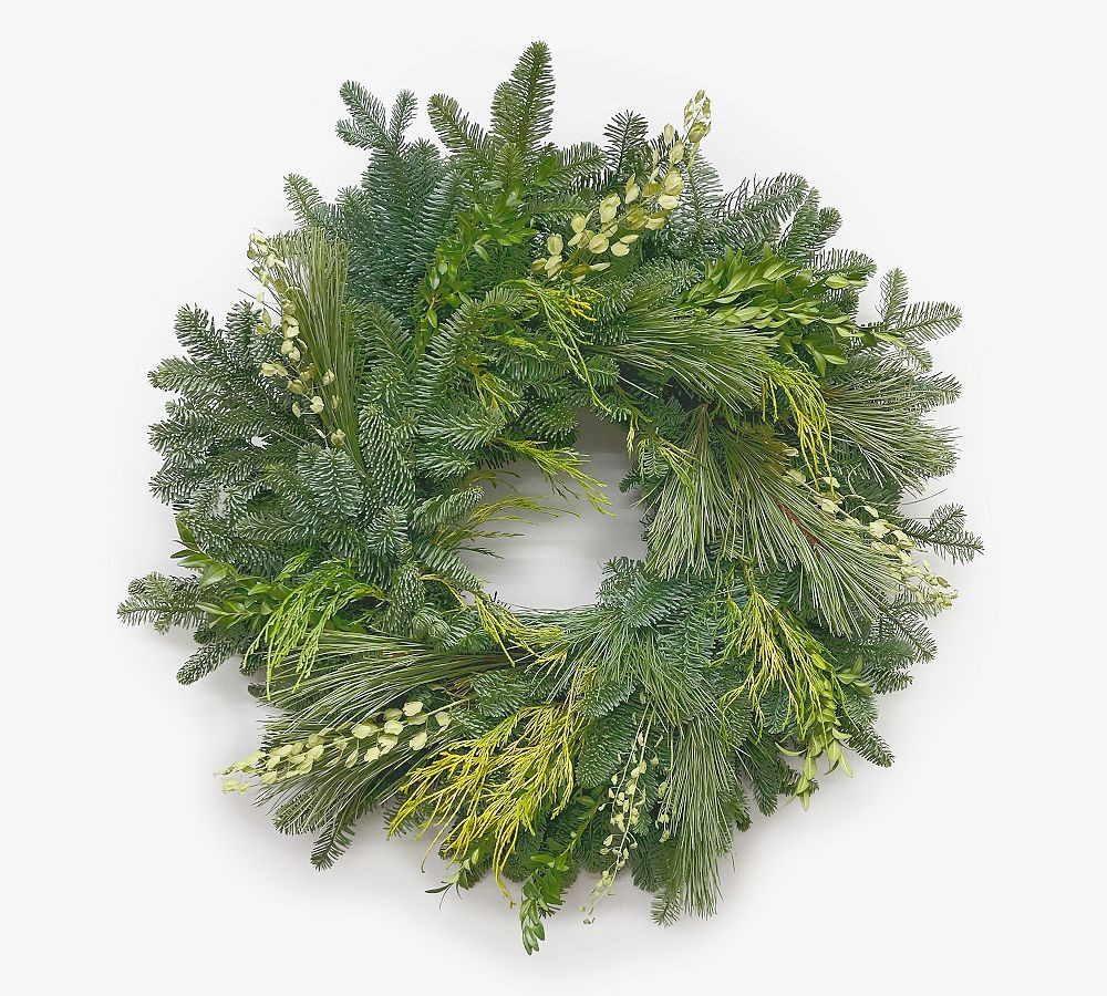 Fresh Yule Forest Wreath | Pottery Barn (US)