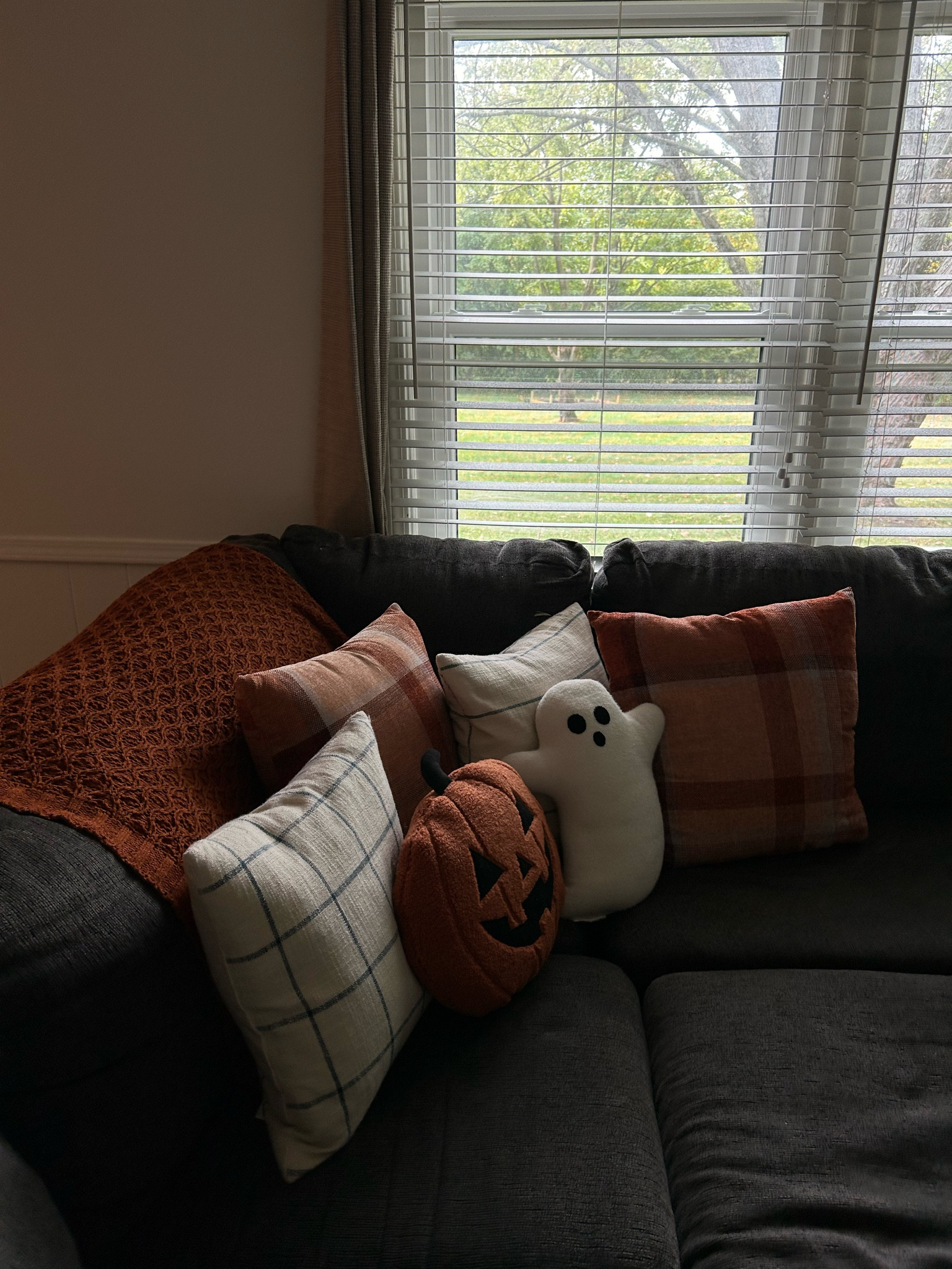 Fall living room, fall home decor, Amazon fall decor, ghost pillow, pumpkin pillow, plaid pillow, fall couch 

#LTKSeasonal #LTKHome #LTKFallSale
