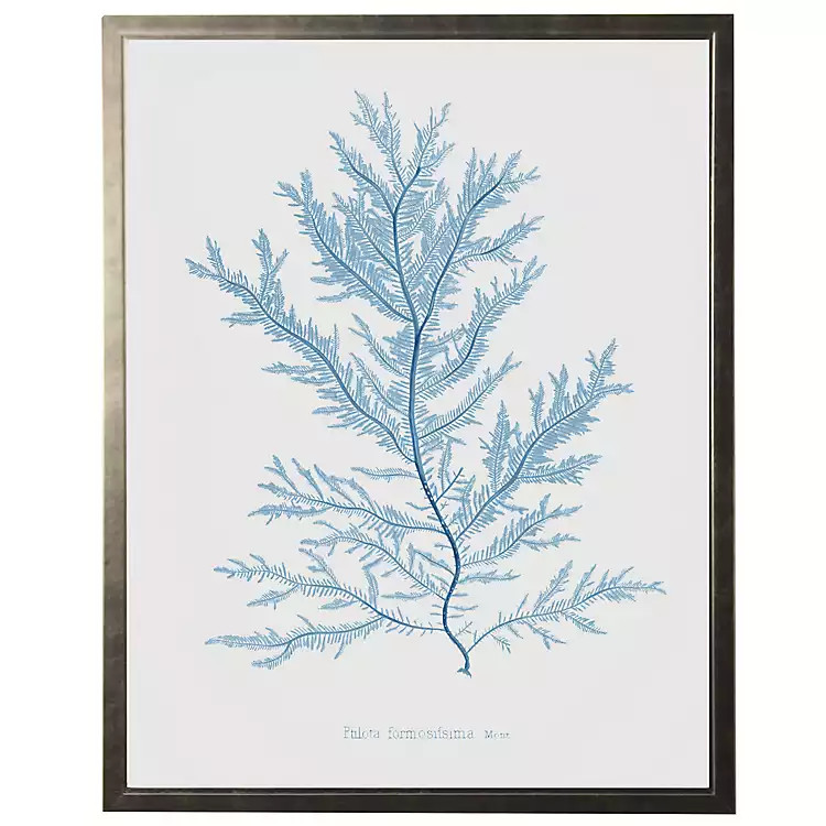 White Distressed Blue Coral III Framed Art Print | Kirkland's Home