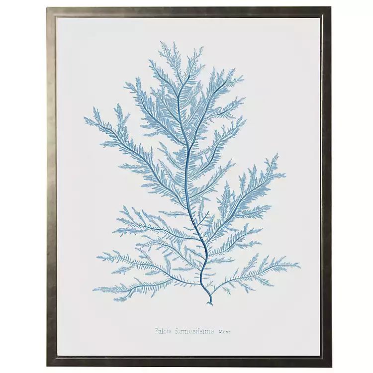 White Distressed Blue Coral III Framed Art Print | Kirkland's Home