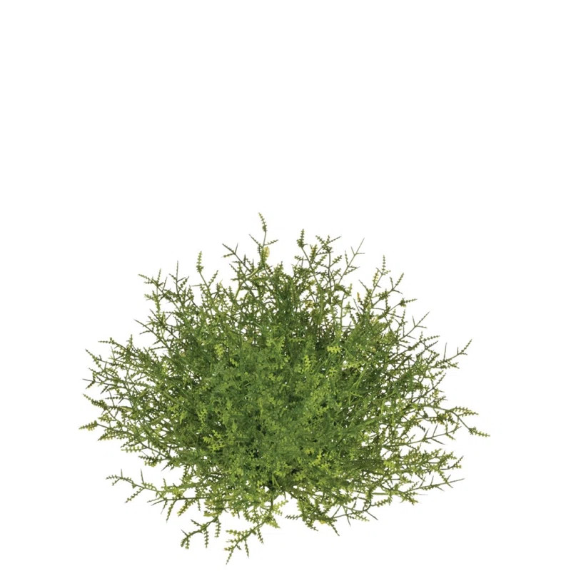 Tomo Nature Vase Filler | Wayfair North America