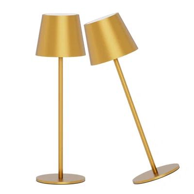 Myleesha Metal USB Buffet Lamp 3000K Cordless Table Lamp Rechargeable Lamp Modern Desk Lamp (2-Pack) | Wayfair North America