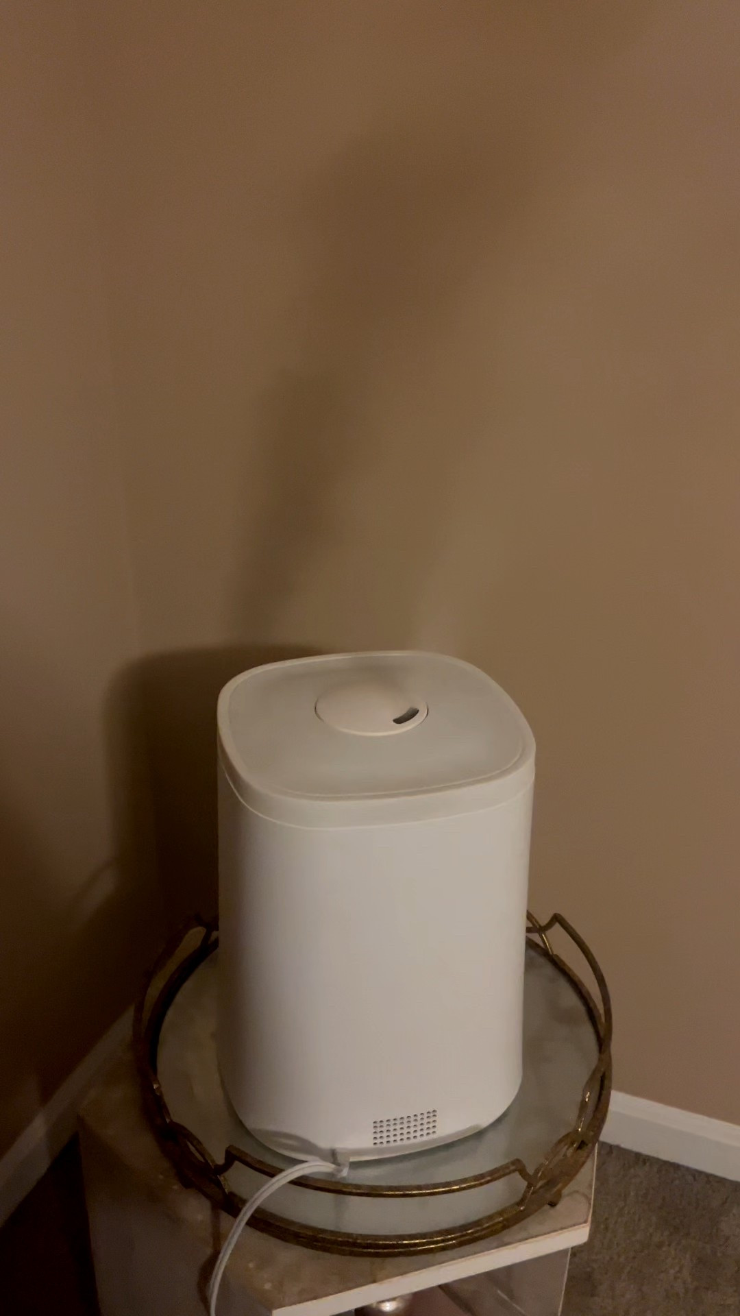 Crane humidifier
Cool mist humidifier
Sick season
Dry skin must haves 


#LTKFindsUnder100 #LTKSeasonal #LTKHome