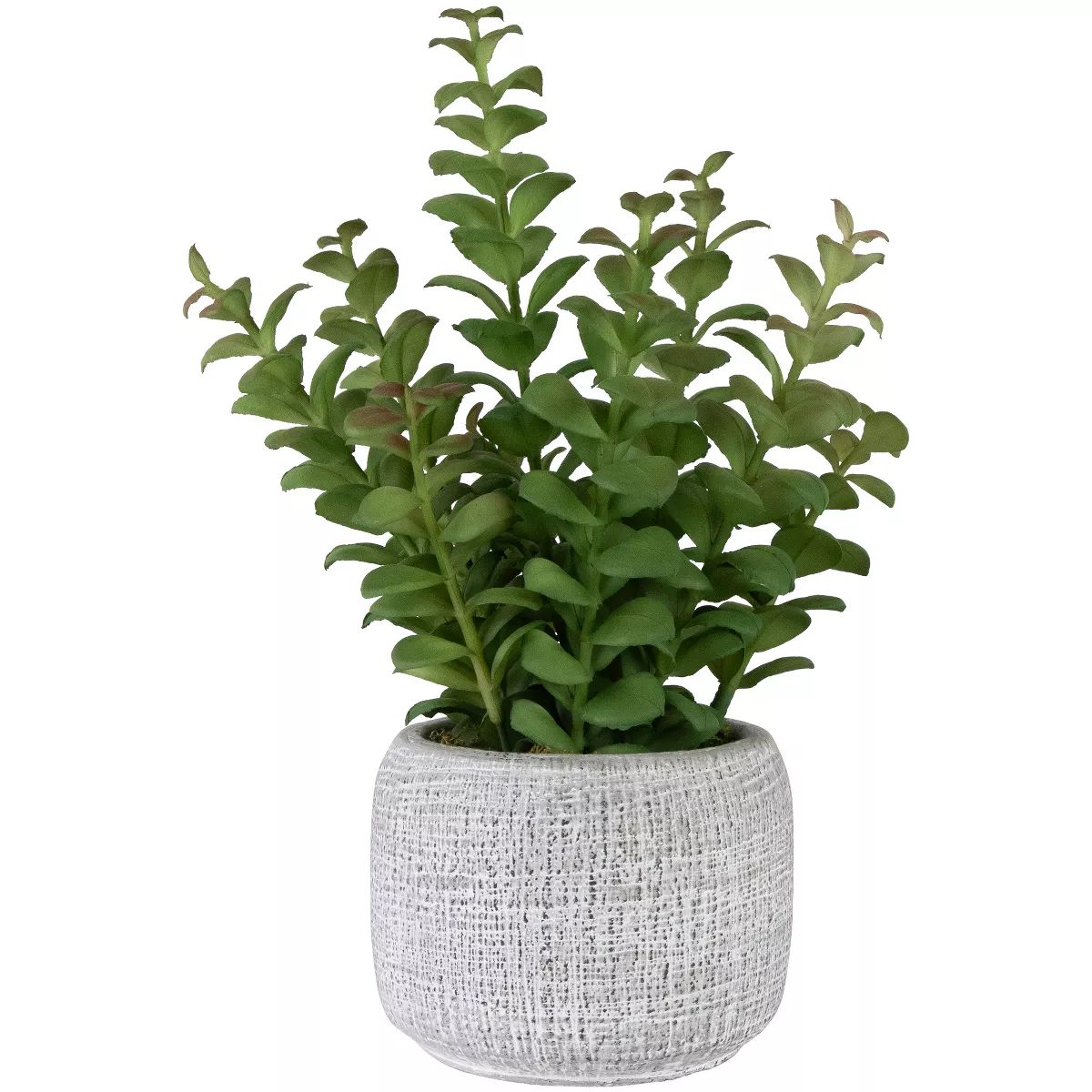 Northlight Real Touch™ Artificial  Privet Plant in Gray Stone Pot - 12" | Target