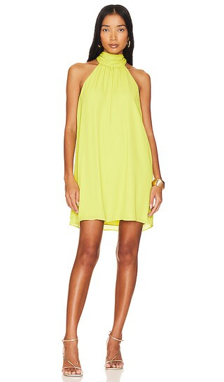 Tie Back Halter Dress in Limelight | Revolve Clothing (Global)