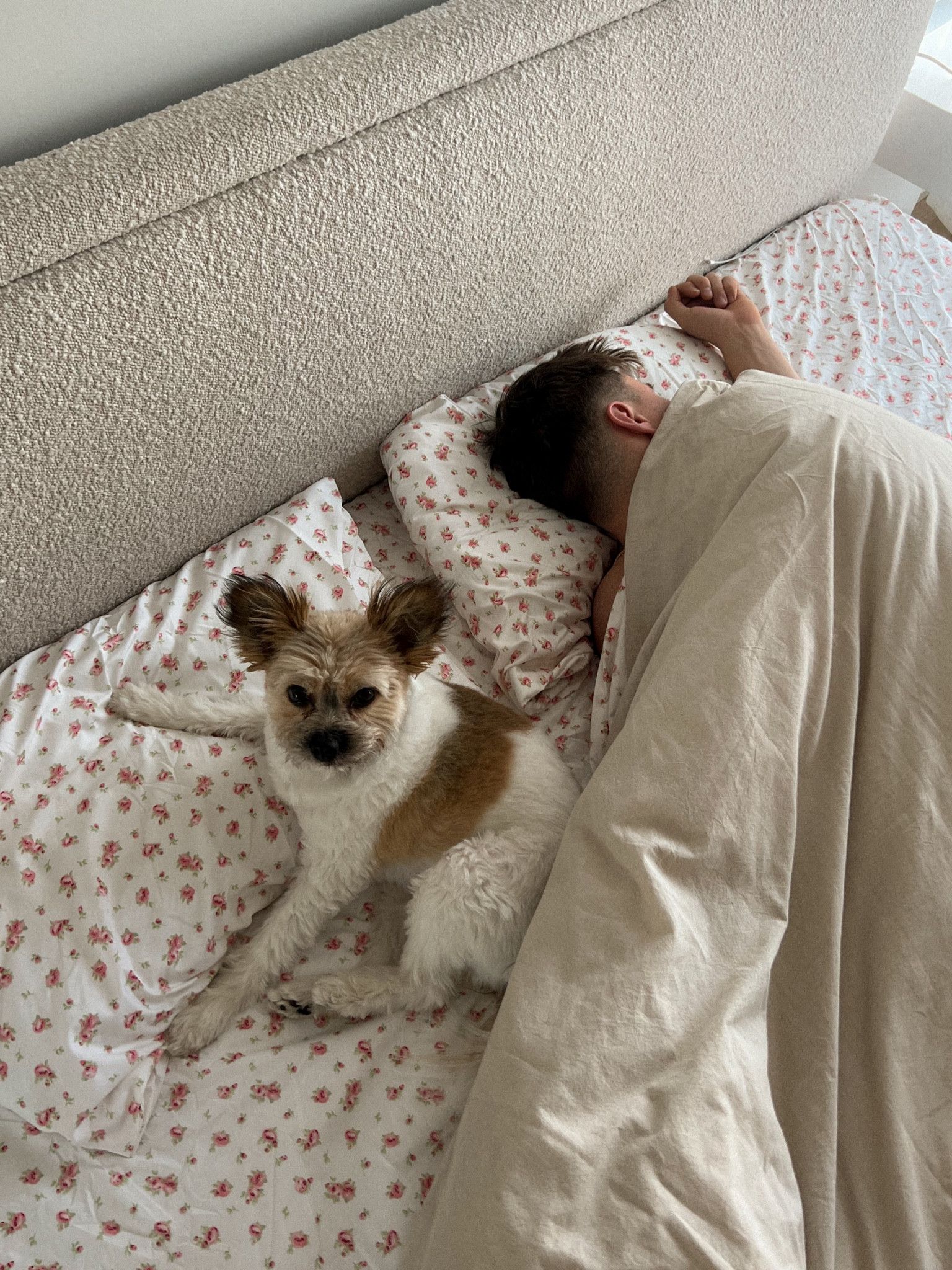 Cozy morning in the new house with our new bedding  

#LTKstyletip #LTKfindsunder50 #LTKhome