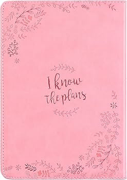 Christian Art Gifts Classic Journal I Know The Plans Jeremiah 29:11 Bible Verse, Inspirational Sc... | Amazon (US)