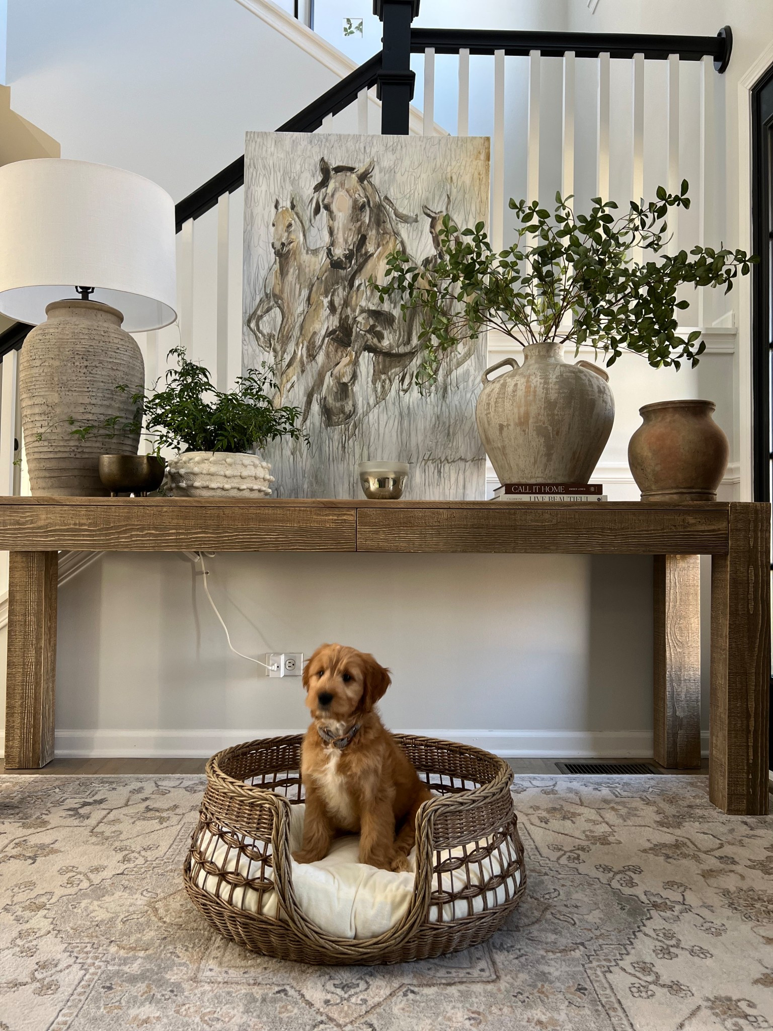 Similar wicker 🐾 beds 

#LTKHome #LTKPets