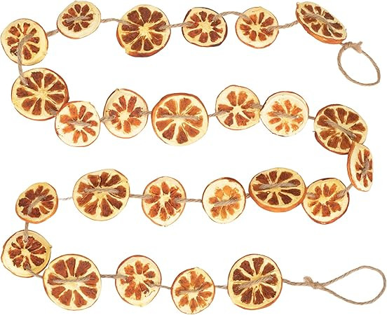 RAZ Imports 2022 Holiday in Provence 5.5' Orange Slice Garland | Amazon (US)