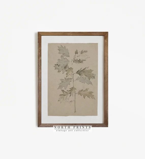 Vintage Sketch | Botanical Oak Branch Drawing Neutral PRINTABLE #471 | Etsy (US)