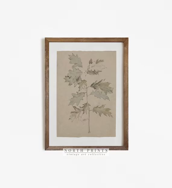 Vintage Sketch  Botanical Oak Branch Drawing Neutral - Etsy | Etsy (US)