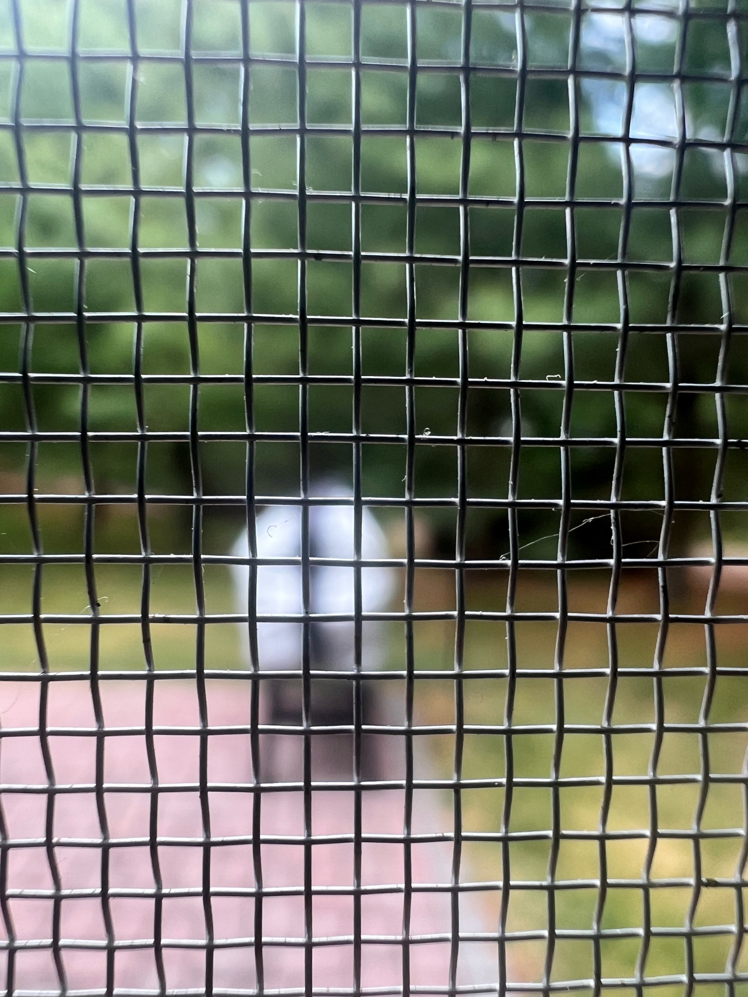 #LTKFind #LTKSeasonal