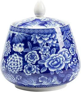 Ceramic Blue and white Sealed Coffee Food Storage Jar Canister with Lid | Amazon (US)